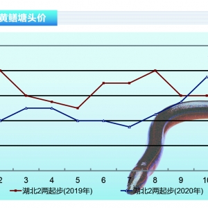 SX10~r(ji)ϝqF(xin)(dng)ˮa(chn)ǰء202011¿Јڅ