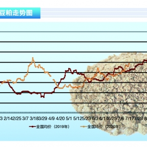 ɣ̼ϝq(chung)¸ԸSˮa(chn)ǰء202010¿Јڅ