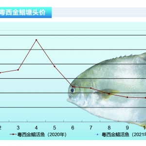 K~2021K~_Tt15Ԫ/ˮa(chn)ǰء20212¿Ј(chng)څ(sh)