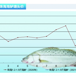 |鷴|ͨyF(xin)Сˮa(chn)ǰء20212¿Јڅ