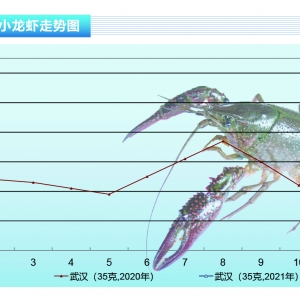 Сr݆r߀Æˮa(chn)ǰء20212¿Јڅڅ