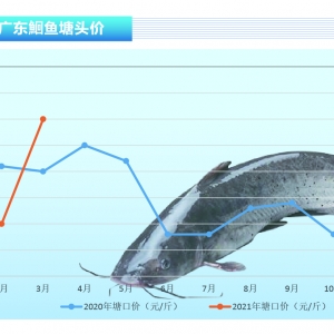 t~鱩q2-3Ҏ(gu)~ϡȱˮa(chn)ǰء20214¿Јڅ