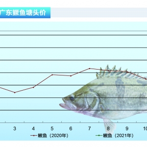 Z~(ji)͝q12Ԫ/ˮa(chn)ǰء20213¿Јڅ