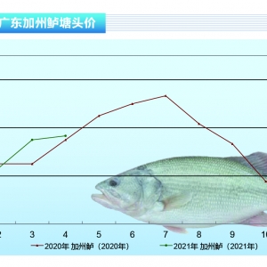 |a(chn)w½B(yng)ϧ۵ȃr񡪡ˮa(chn)ǰء20215¿Јڅ