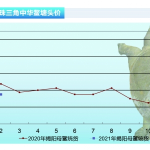 ~(ji)~rлˮa(chn)ǰء20213¿Јڅ