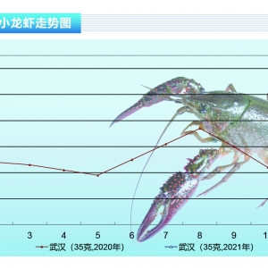 Сrqrr20Ԫ/ˡˮa(chn)ǰء20213¿Јڅ