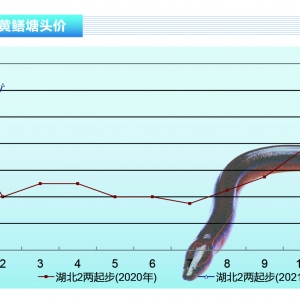 SX(ji)ã~r(ji)ϝqˮa(chn)ǰء20213¿Јڅ