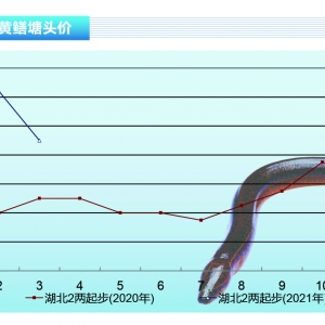 SX~r(ji)(dng)߀ϝqgˮa(chn)ǰء20214¿Јڅ