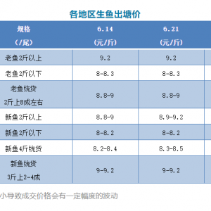 (wn)Нq2021621ո~^r(ji)񲥈(bo)