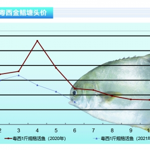 K~m(x)B(yng)ֳY朔ѡˮa(chn)ǰء20217¿Ј(chng)څ(sh)