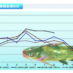 S~Ӱ푣F(xin)󷶇rˮa(chn)ǰء20219¿Јڅ