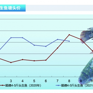 ~ӰЈ裬鲨(dng)^ˮa(chn)ǰء20219¿Јڅ