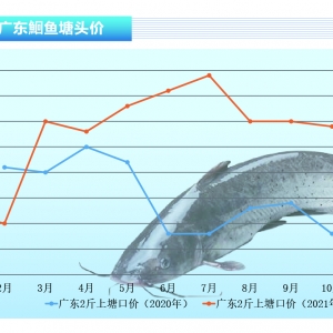 t~Sqr~лӭϝq顪ˮa(chn)ǰء202111¿Јڅ