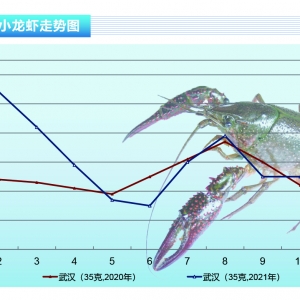 Сrhӏڹȡ顪ˮa(chn)ǰء202111¿Јڅ