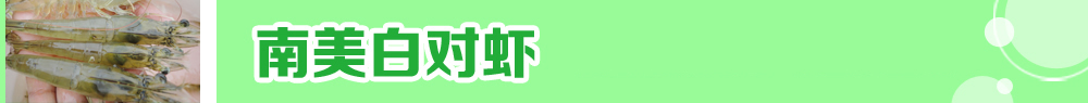 2015ˮa(chn)N紺ُNָ