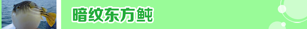 2015ˮa(chn)N紺ُNָ